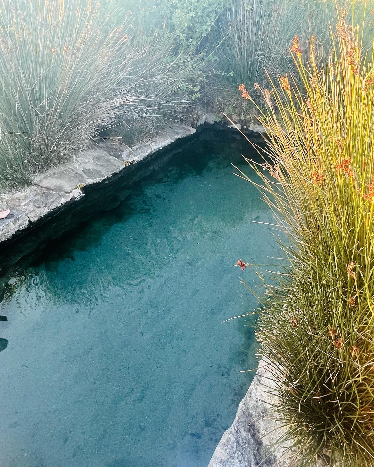 Healing hot springs in Sardinia, Italy! #bluezone